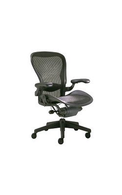 1992 Office chair Aeron  Donald Chadwick William Stumpf Herman Miller